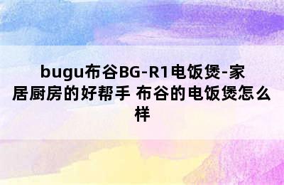 bugu布谷BG-R1电饭煲-家居厨房的好帮手 布谷的电饭煲怎么样